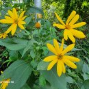 원당공원 이미지