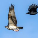 영동세탁소 이미지