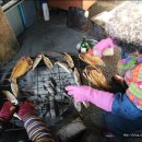 고흥재래시장 이미지