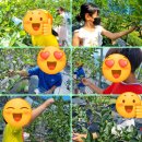 오호초등학교 이미지