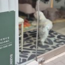 바르본 뷰티