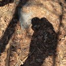 안성맞춤(제천)휴게소편의점 이미지