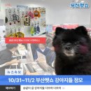 부산펫(주) 이미지