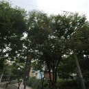 용두역 4번출구 이미지