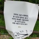 수자연수목원 네이버블로그