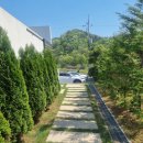 화이트펜션 | 공주 대전 근교 풀빌라 독채 화이트리 펜션 후기