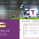 티머니포항버스