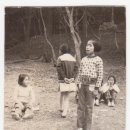 이동초교 이미지