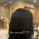 더시크릿22