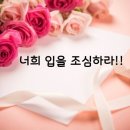 카페마디