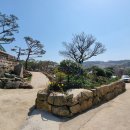 [당진시 안국산 안국사지] 오늘도 서있는 삼존석불