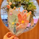 오로라 스튜디오 이미지