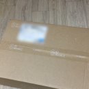 락피시방 | 락피쉬웨더웨어 (ROCKFISH WEATHERWEAR) 밴딩 발렛 플랫 BANDING BALLET FLATS black) 후기