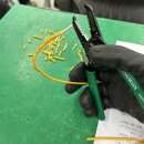 신나는 쿠키&클레이-B | 꾸짖을 갈 고양이(AA건전지 3개입, 미포함)