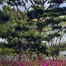 정다운휴게소 이미지