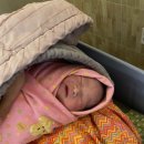 정산부인과의원 | 둘째 출산후기_미즈웰 산부인과 제왕절개 준비물 및 주의사항,1인실, 2인실