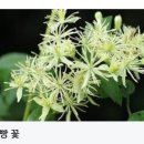 송희네집