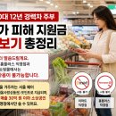 서울 30대 12년차 경력 주부 + 고유가 피해 지원금 + 장보기 총정리
