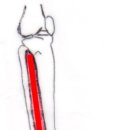 삼성전자OK한의원 이미지