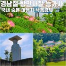 함안 능가사 칠성탱 | 경남 절 함안 사찰 능가사 국내 조용한 여행지 낙동강 뷰