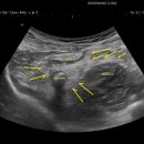 우리내과의원 이미지