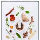 쭈꾸미사랑 이미지