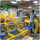 250912 &#34;삼겹살 못 사먹겠네&#34;… 추석 앞두고 &#39;날벼락&#39; 이미지