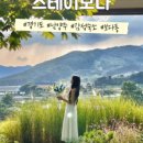 애:영스테이 이미지