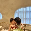 더카페라운지 - 서귀포시 막숙포로 78 | 부산 명지 키즈카페 내돈내산 더리틀라운지 키즈풀 후기