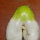 용무농장 이미지