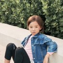 컬리수 이미지