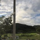 숲속구름호수 이미지