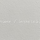 인더시즌(Intheseason) 이미지