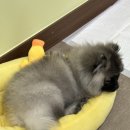 (주)에스디메디칼 이미지