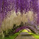 삼풍농장 이미지