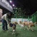 평강다방