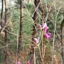 하빈농업협동조합 이미지