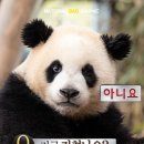 하루,한끼 이미지