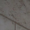 임태식신경정신과의원 이미지