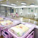 장지동주민센터앞 이미지