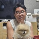 커비동물병원 이미지