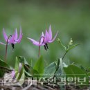 한라전설(주) 이미지