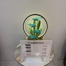 요즘쇼핑 이미지