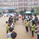 녹양초등학교 이미지