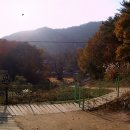 단촌2 Daum카페