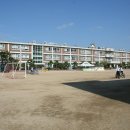 학장초등학교 Daum카페