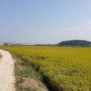 줄포환경센터 이미지