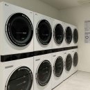 맹그로브 동대문 이미지