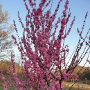 오늘, 정원 이미지