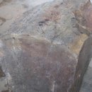 화석(규화목) 이미지